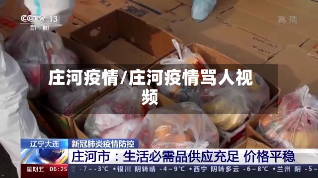 庄河疫情/庄河疫情骂人视频-第3张图片