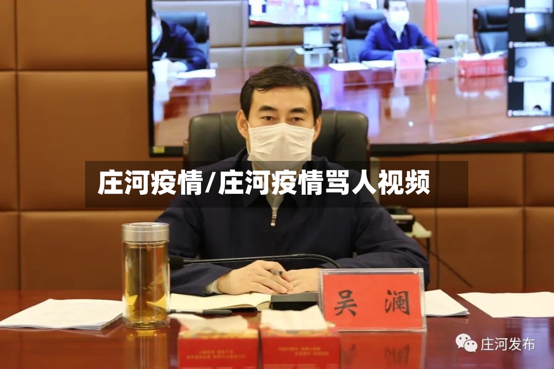 庄河疫情/庄河疫情骂人视频-第2张图片