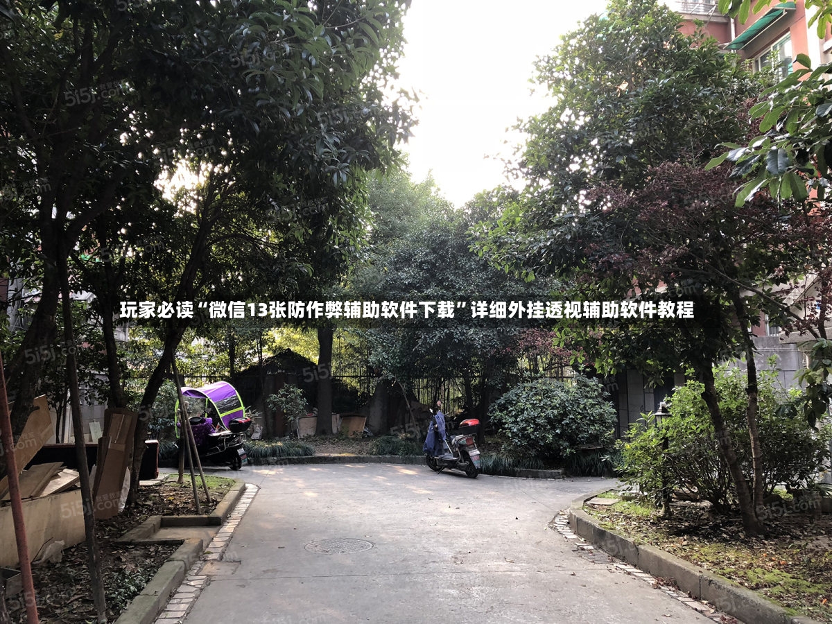 玩家必读“微信13张防作弊辅助软件下载	”详细外挂透视辅助软件教程-第2张图片