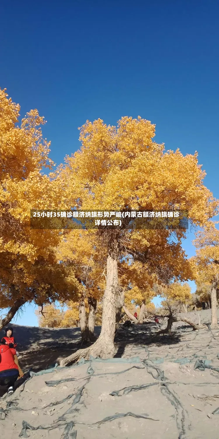 25小时35确诊额济纳旗形势严峻(内蒙古额济纳旗确诊详情公布)