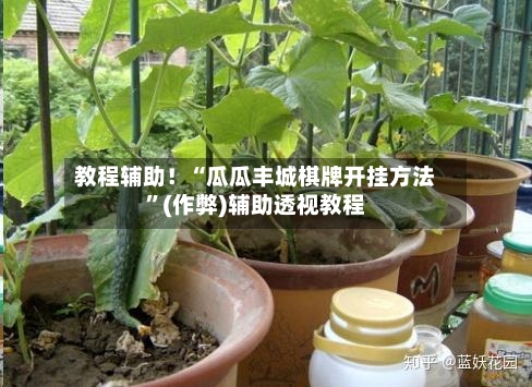 教程辅助！“瓜瓜丰城棋牌开挂方法”(作弊)辅助透视教程-第2张图片