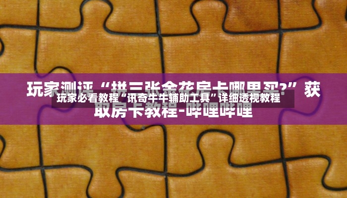 玩家必看教程“讯奇牛牛辅助工具”详细透视教程-第2张图片