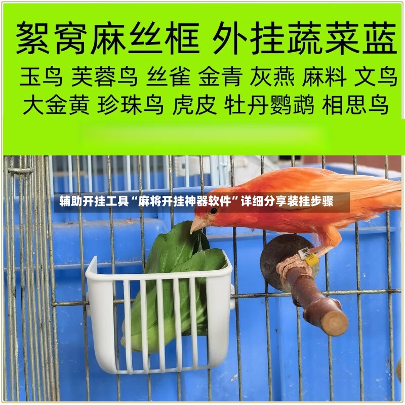 辅助开挂工具“麻将开挂神器软件”详细分享装挂步骤-第3张图片