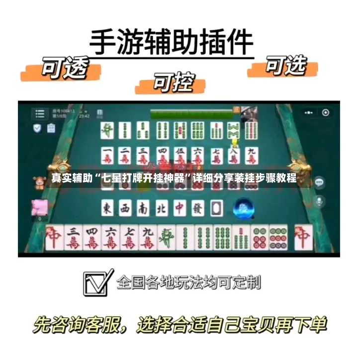 真实辅助“七星打牌开挂神器”详细分享装挂步骤教程-第3张图片