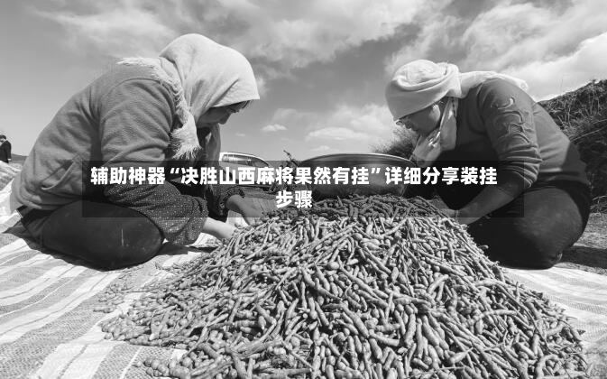 辅助神器“决胜山西麻将果然有挂”详细分享装挂步骤-第3张图片