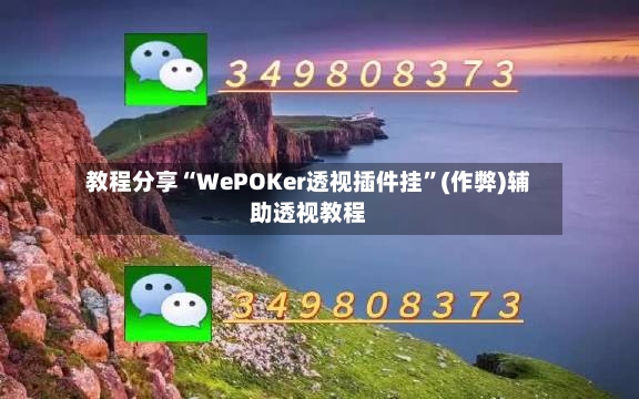 教程分享“WePOKer透视插件挂	”(作弊)辅助透视教程-第3张图片