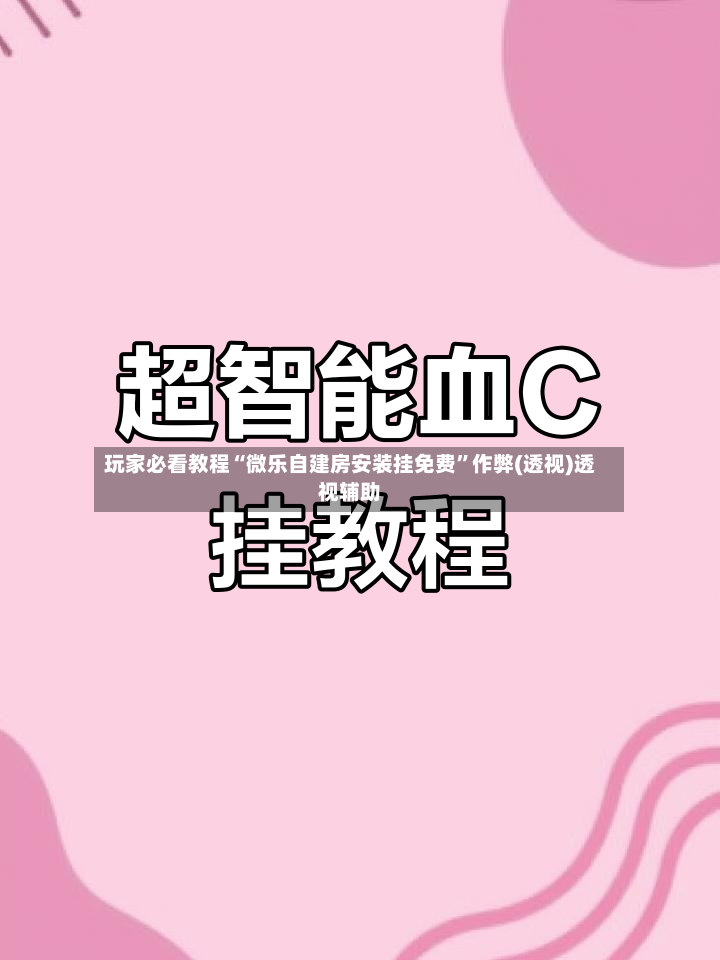 玩家必看教程“微乐自建房安装挂免费”作弊(透视)透视辅助-第2张图片