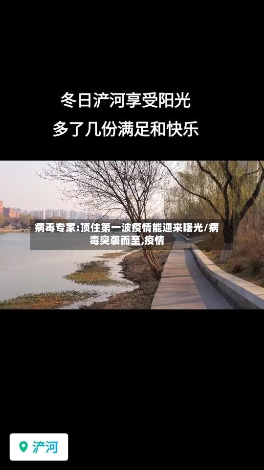 病毒专家:顶住第一波疫情能迎来曙光/病毒突袭而至,疫情-第3张图片