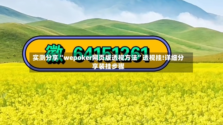 实测分享“wepoker网页版透视方法”透视挂!详细分享装挂步骤-第3张图片