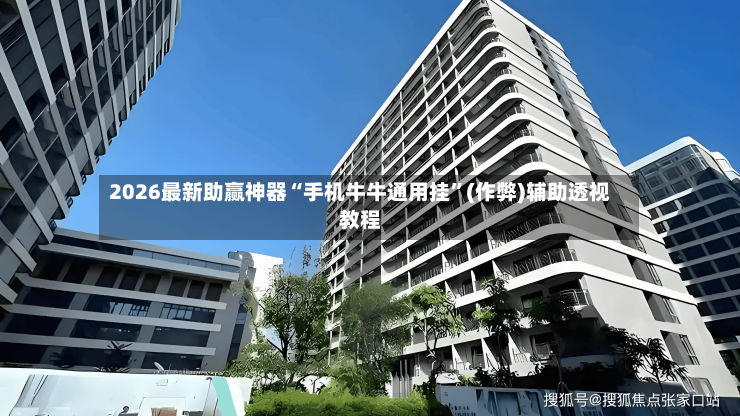 2026最新助赢神器“手机牛牛通用挂”(作弊)辅助透视教程-第3张图片
