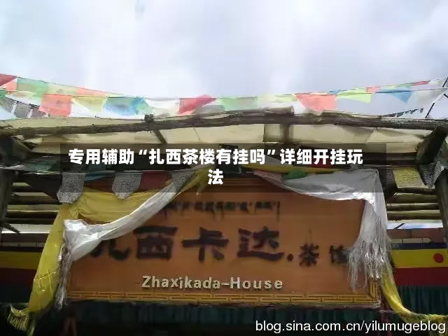 专用辅助“扎西茶楼有挂吗”详细开挂玩法-第3张图片