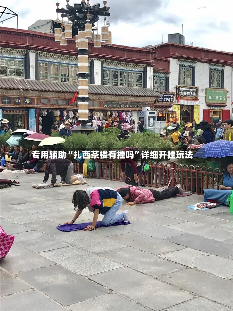专用辅助“扎西茶楼有挂吗”详细开挂玩法-第2张图片
