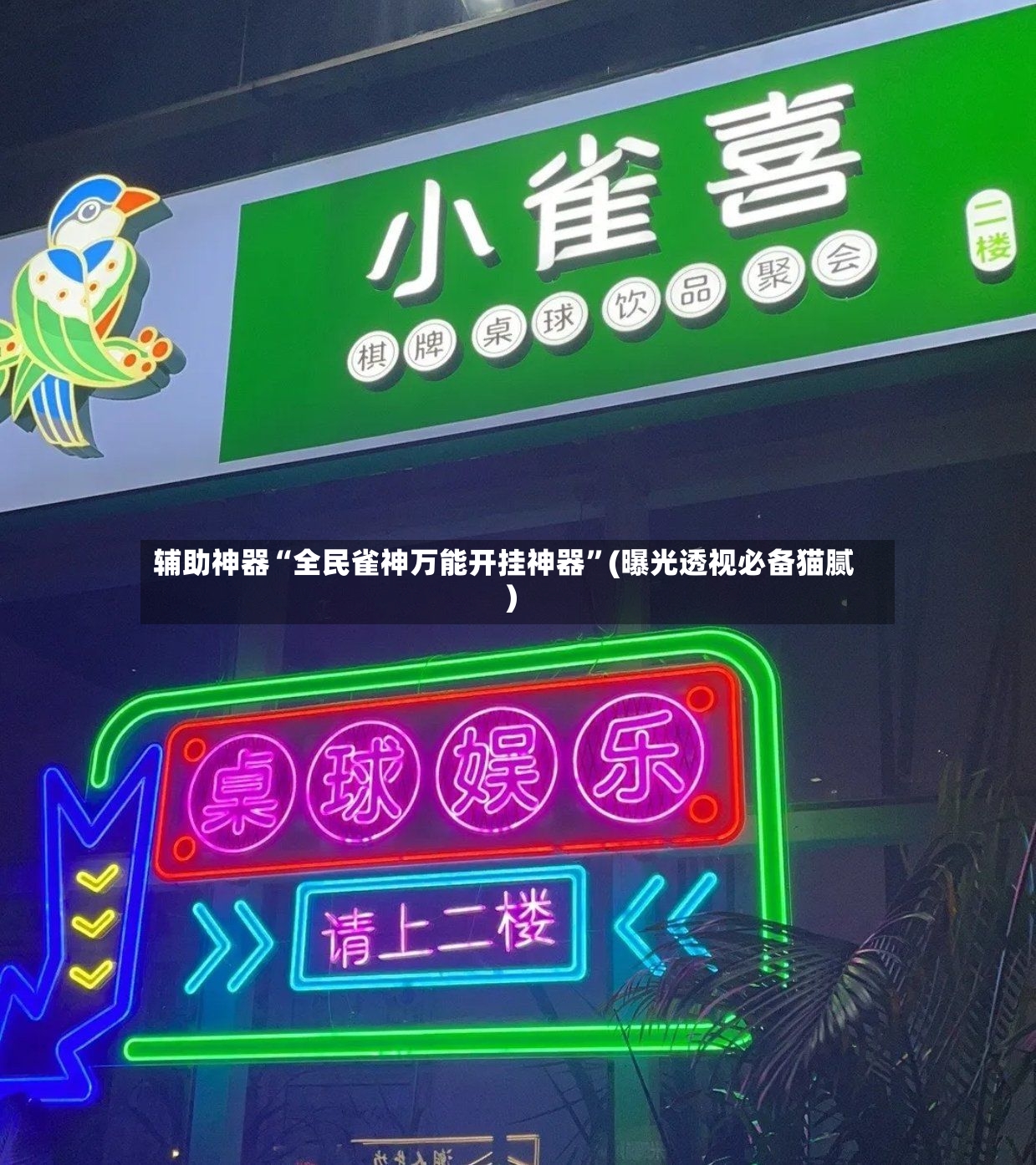 辅助神器“全民雀神万能开挂神器”(曝光透视必备猫腻)