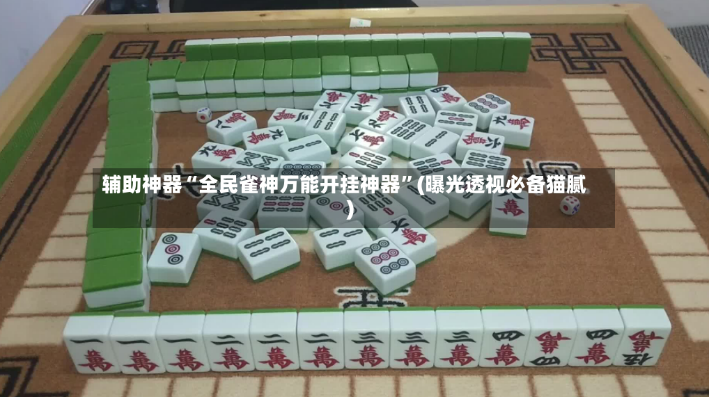 辅助神器“全民雀神万能开挂神器”(曝光透视必备猫腻)-第2张图片