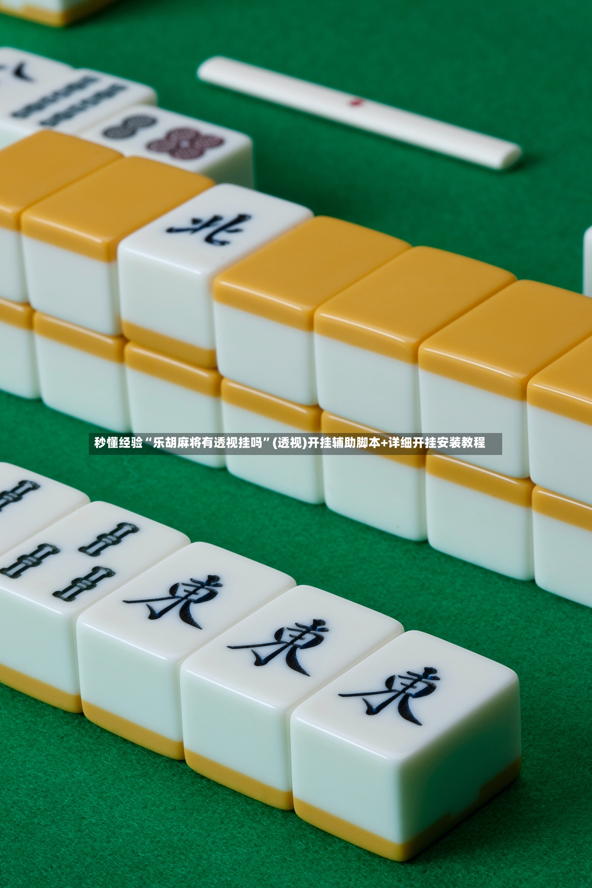 秒懂经验“乐胡麻将有透视挂吗”(透视)开挂辅助脚本+详细开挂安装教程-第3张图片