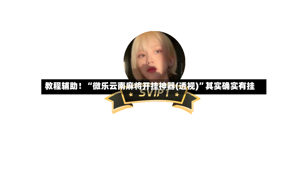 教程辅助！“微乐云南麻将开挂神器(透视)	”其实确实有挂-第3张图片