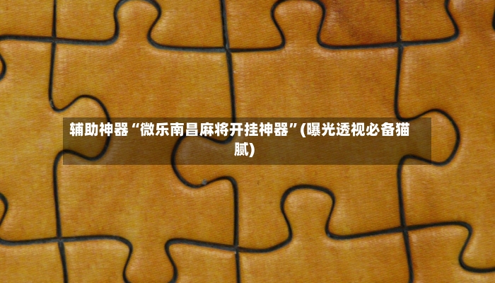辅助神器“微乐南昌麻将开挂神器”(曝光透视必备猫腻)