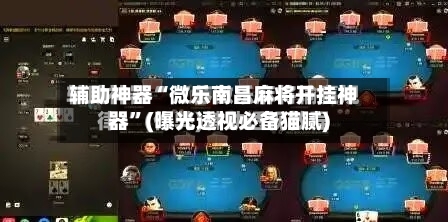 辅助神器“微乐南昌麻将开挂神器”(曝光透视必备猫腻)-第3张图片