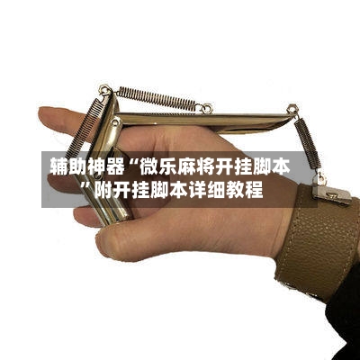 辅助神器“微乐麻将开挂脚本	”附开挂脚本详细教程-第2张图片
