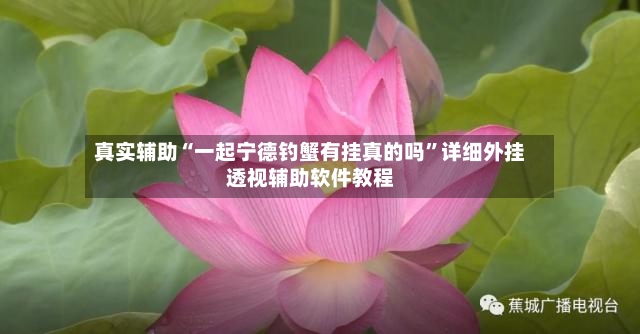 真实辅助“一起宁德钓蟹有挂真的吗	”详细外挂透视辅助软件教程-第3张图片