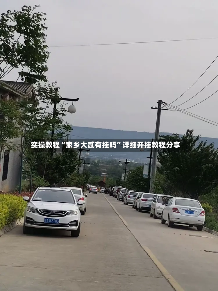 实操教程“家乡大贰有挂吗”详细开挂教程分享-第3张图片