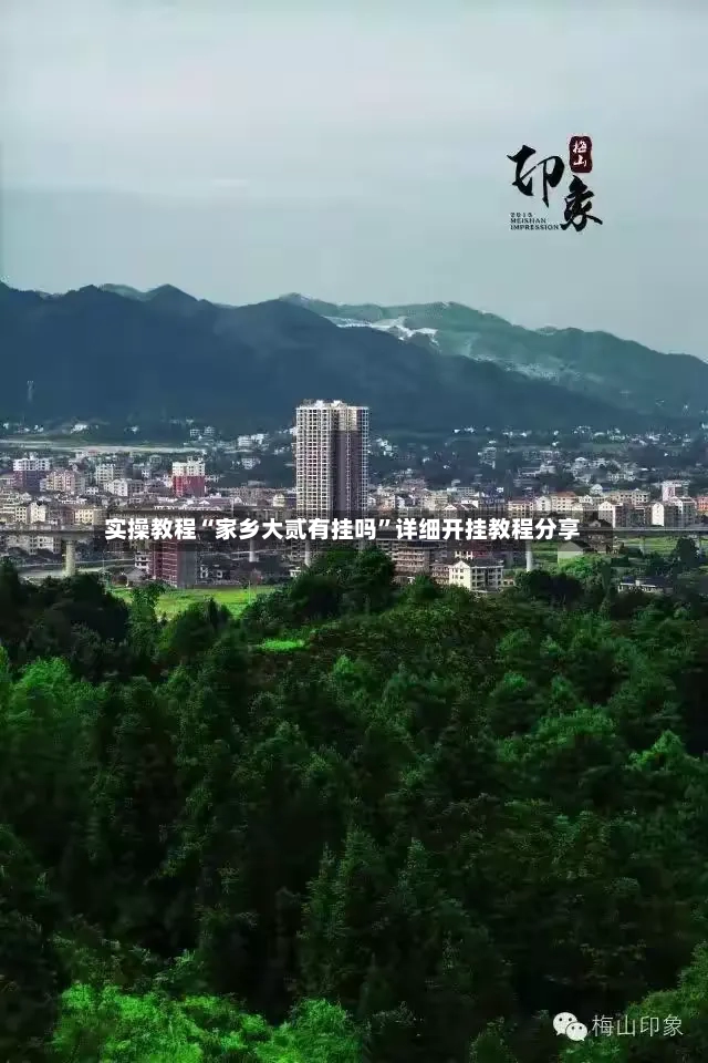 实操教程“家乡大贰有挂吗	”详细开挂教程分享-第2张图片