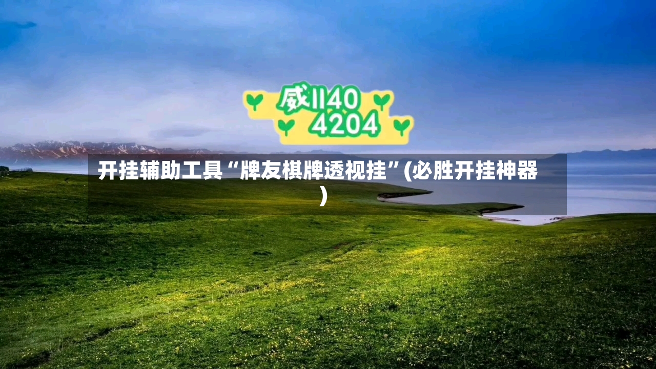 开挂辅助工具“牌友棋牌透视挂”(必胜开挂神器)-第3张图片