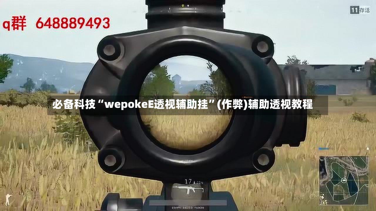 必备科技“wepokeE透视辅助挂”(作弊)辅助透视教程-第2张图片