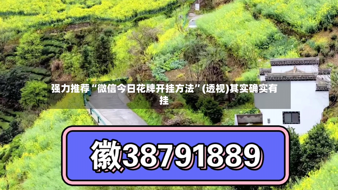 强力推荐“微信今日花牌开挂方法	”(透视)其实确实有挂-第2张图片