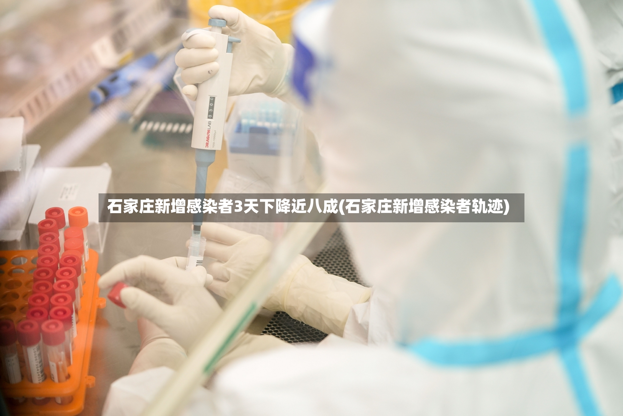 石家庄新增感染者3天下降近八成(石家庄新增感染者轨迹)