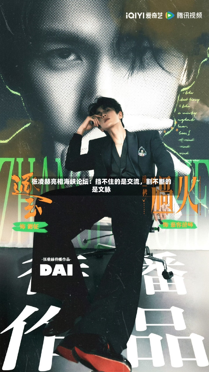 张凌赫亮相海峡论坛：挡不住的是交流，割不断的是文脉-第3张图片