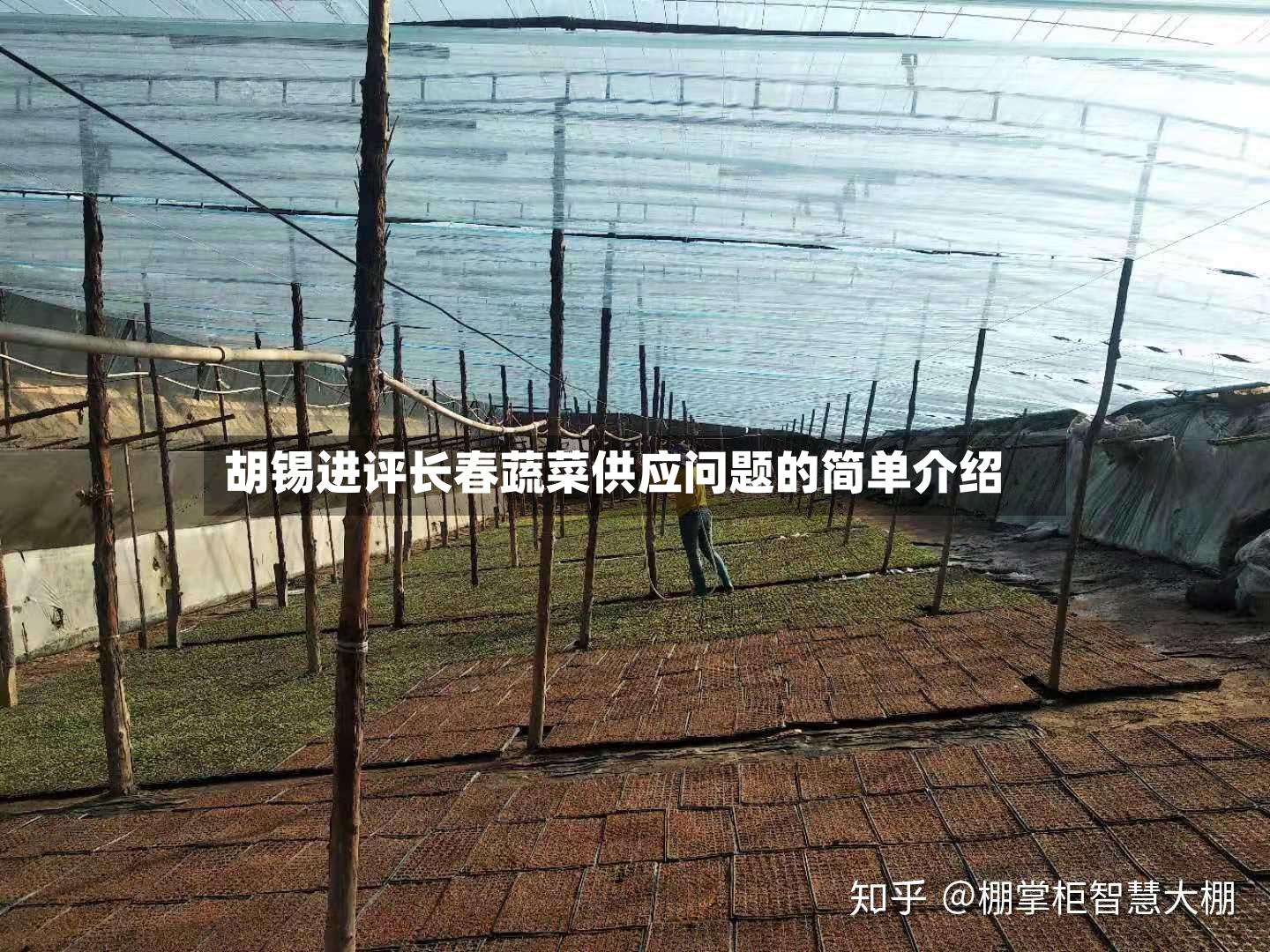 胡锡进评长春蔬菜供应问题的简单介绍