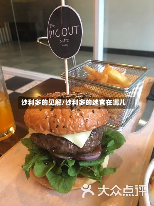 沙利多的见解/沙利多的迷宫在哪儿