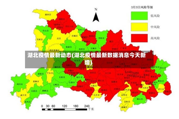 湖北疫情最新动态(湖北疫情最新数据消息今天新增)