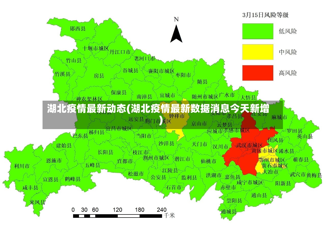 湖北疫情最新动态(湖北疫情最新数据消息今天新增)-第2张图片