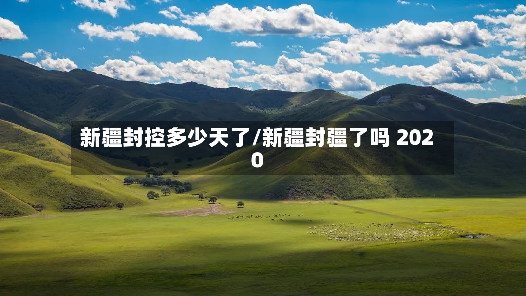 新疆封控多少天了/新疆封疆了吗 2020