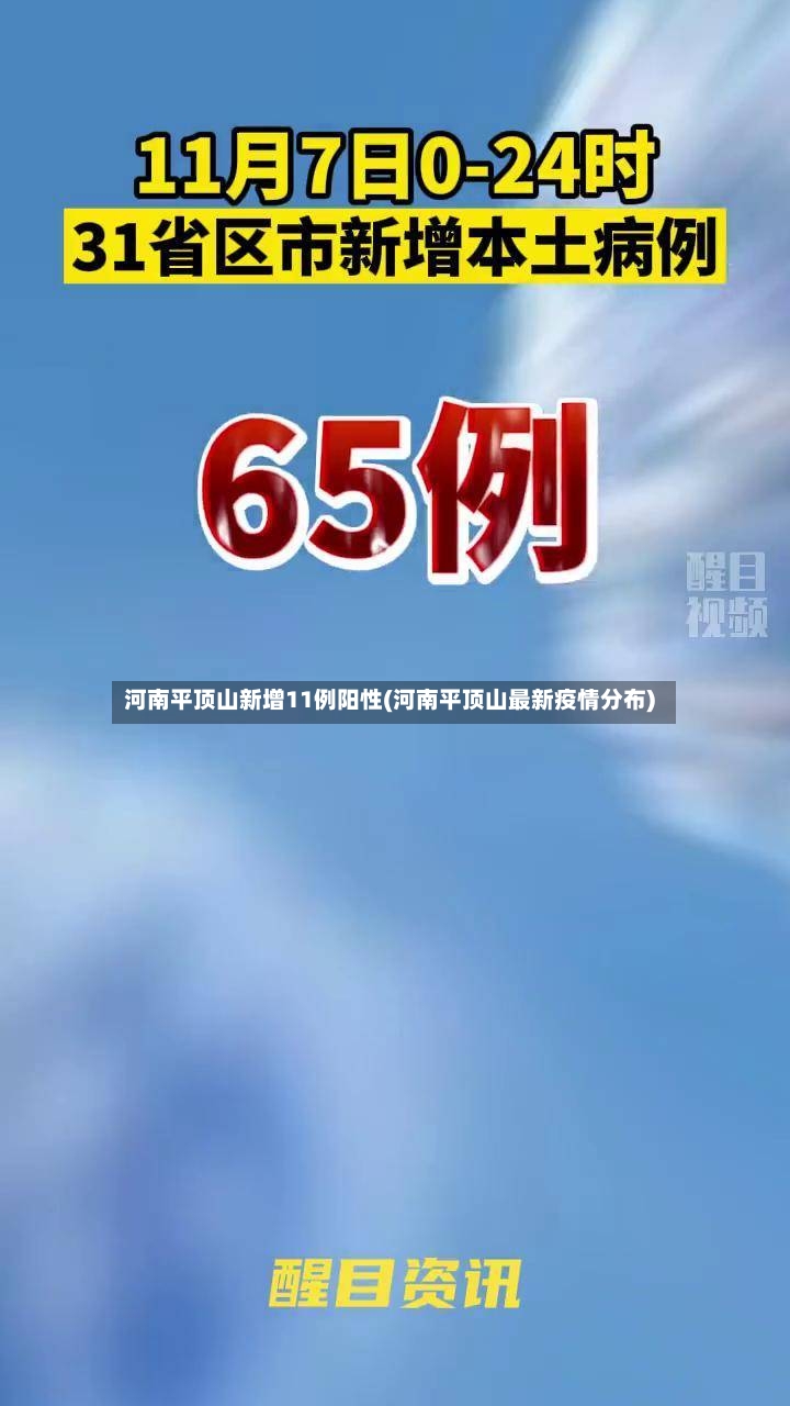 河南平顶山新增11例阳性(河南平顶山最新疫情分布)
