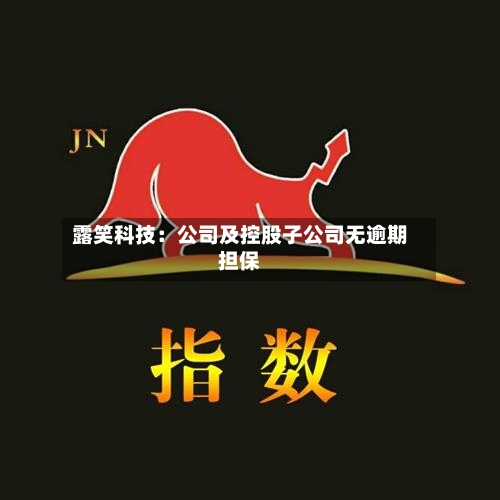露笑科技：公司及控股子公司无逾期担保