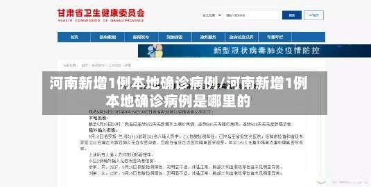 河南新增1例本地确诊病例/河南新增1例本地确诊病例是哪里的