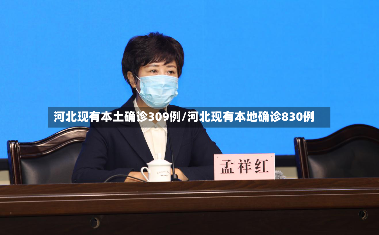 河北现有本土确诊309例/河北现有本地确诊830例-第3张图片
