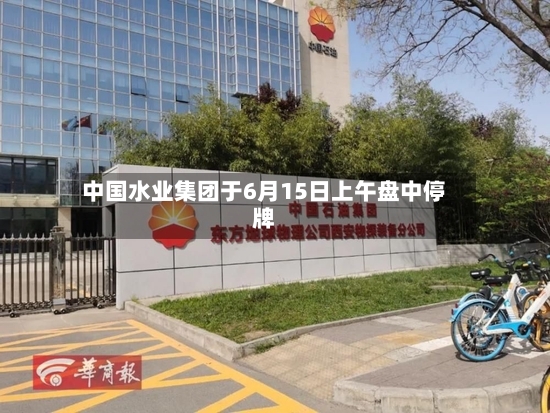 中国水业集团于6月15日上午盘中停牌