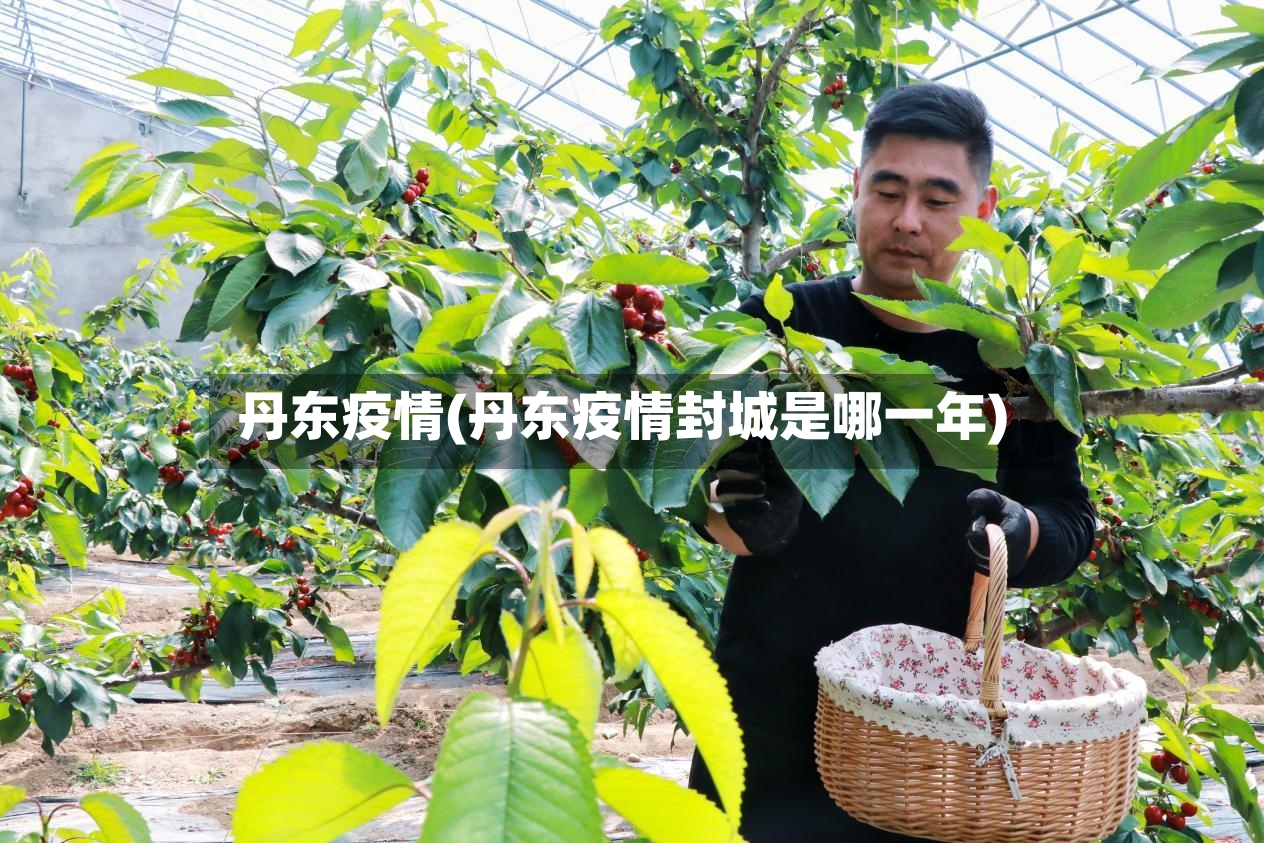 丹东疫情(丹东疫情封城是哪一年)-第3张图片