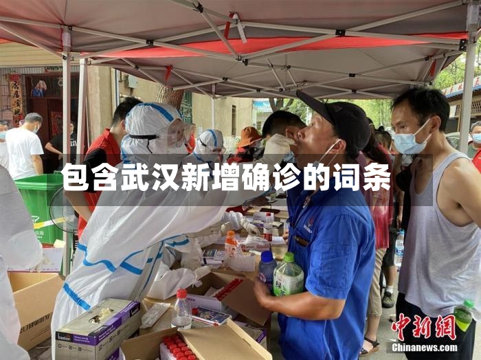 包含武汉新增确诊的词条