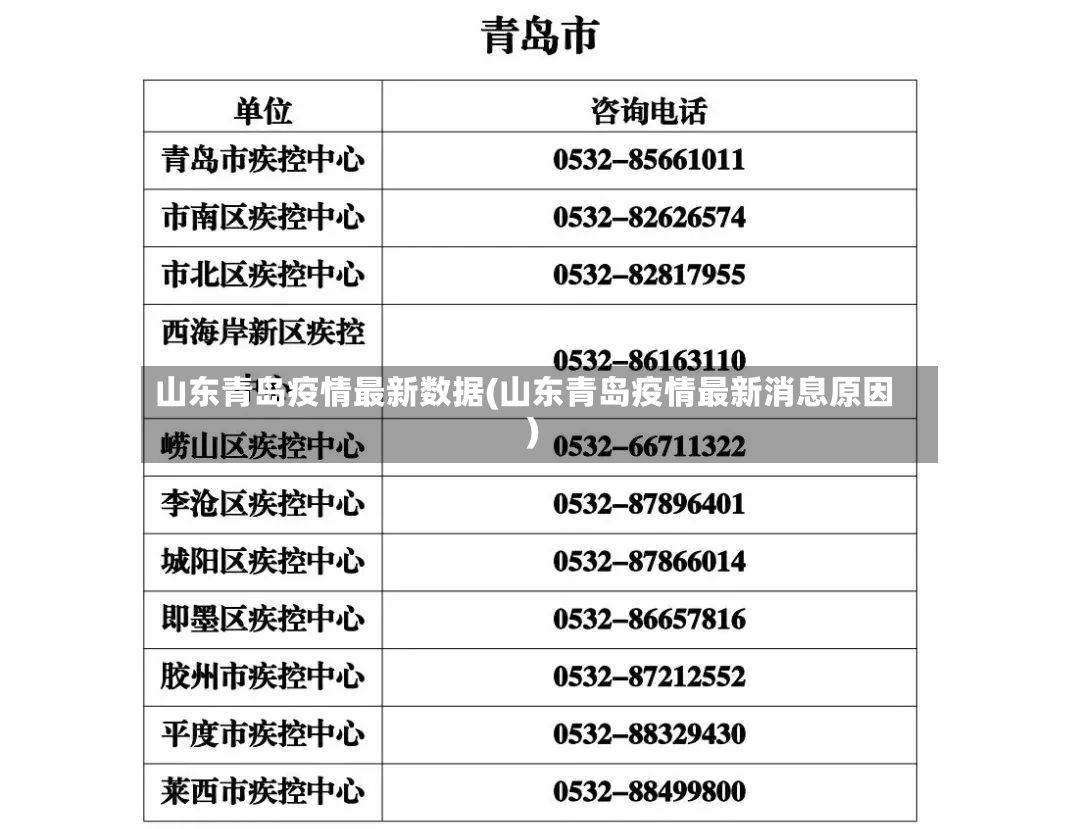 山东青岛疫情最新数据(山东青岛疫情最新消息原因)-第2张图片
