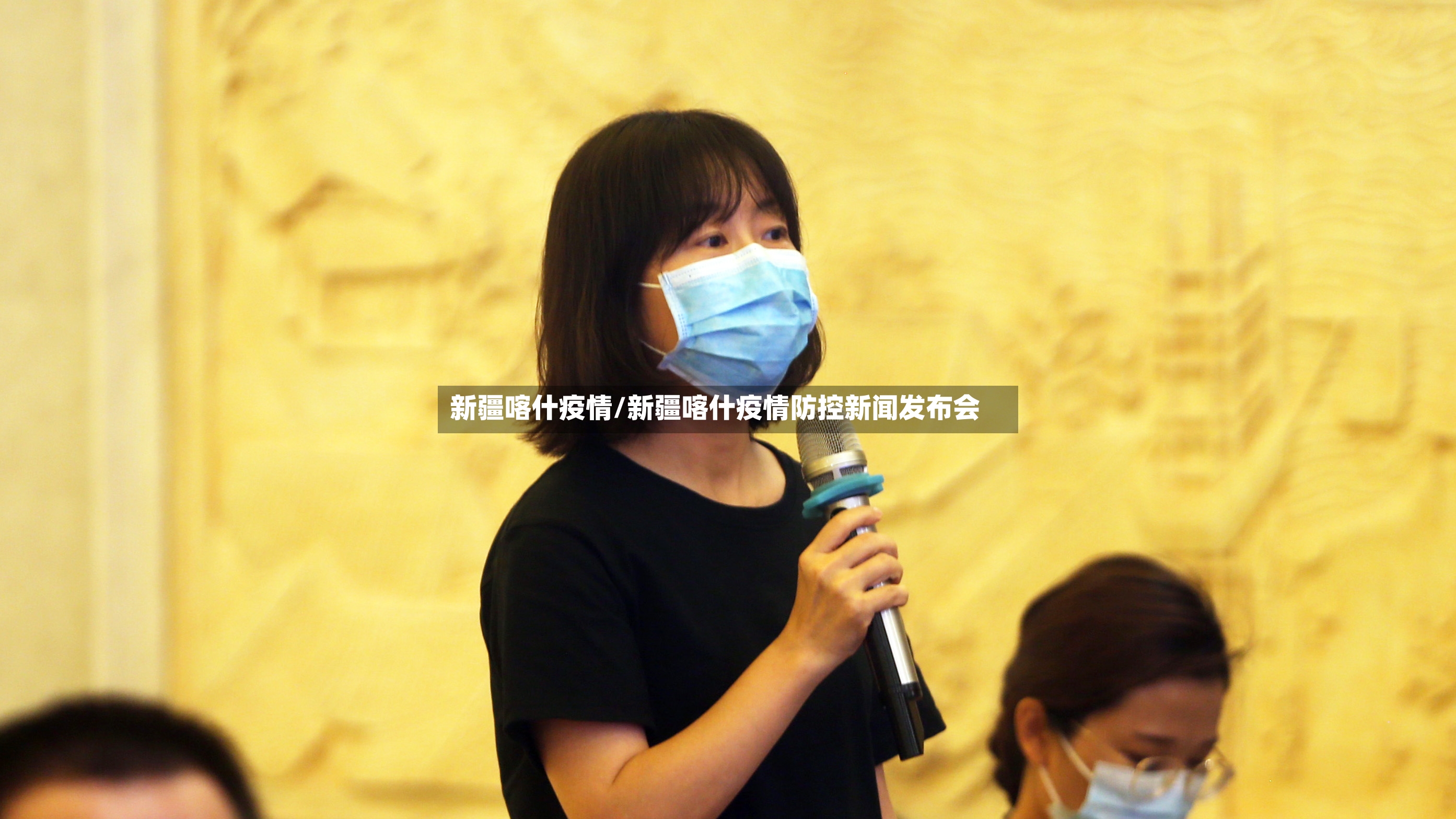 新疆喀什疫情/新疆喀什疫情防控新闻发布会