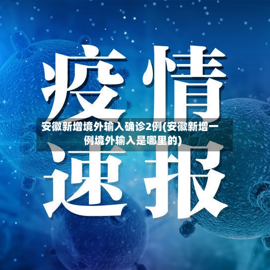 安徽新增境外输入确诊2例(安徽新增一例境外输入是哪里的)-第2张图片