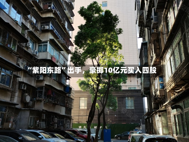 “紫阳东路	”出手，豪掷10亿元买入四股-第3张图片