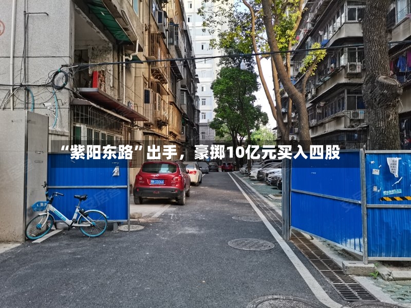 “紫阳东路”出手，豪掷10亿元买入四股-第2张图片