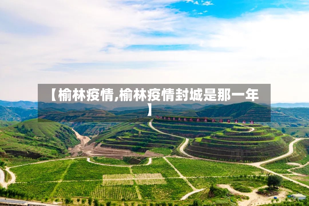 【榆林疫情,榆林疫情封城是那一年】-第2张图片