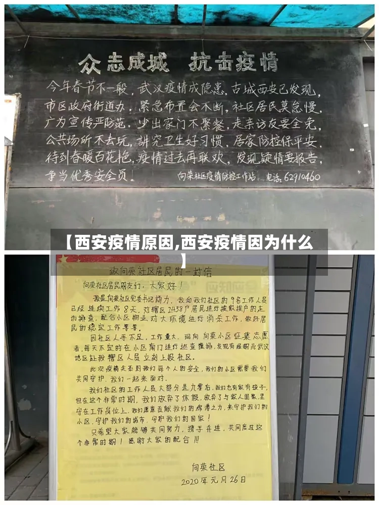 【西安疫情原因,西安疫情因为什么】